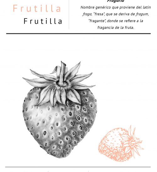 Frutilla web